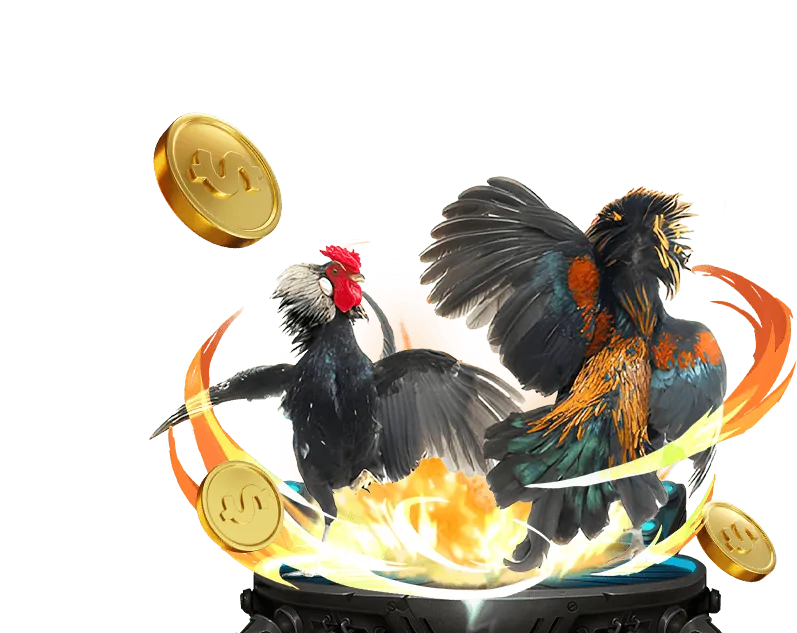 Đặt cược đá gà King52 Win